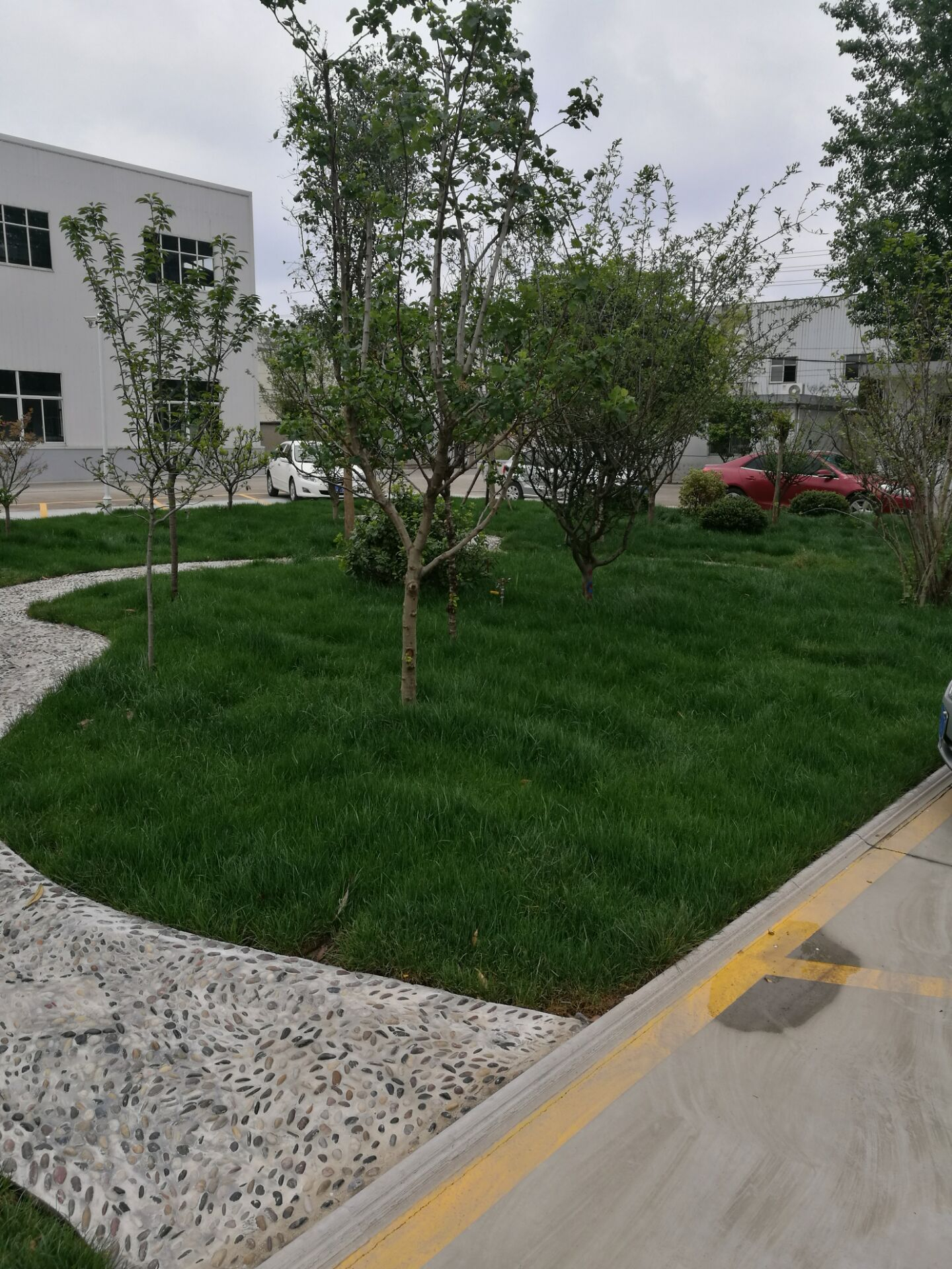 廠區環境大建設